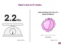 Waga dziecka w 27 tygodniu ciąży to 2,2 funta (ok. 1000 g), wielkości główki sałaty.