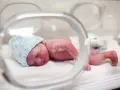 Maleńki noworodek w niebieskiej czapeczce leży w inkubatorze. To dziecko urodzone w 20 tygodniu ciąży, walczące o życie.