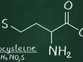 Struktura chemiczna homocysteiny. Norma homocysteiny jest kluczowa dla zdrowia.