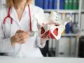 Lekarka pokazuje model miednicy, wyjaśniając pęknięcie krocza 1 stopnia.