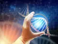 Rękawiczka laboratoryjna trzyma szalkę Petriego z fragmentem DNA. To może być etap diagnostyki prenatalnej, jak kordocenteza.