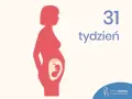 Sylwetka kobiety w ciąży, wewnątrz widoczny płód. Obok napis "31 tydzień".