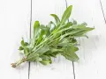 Pęczek świeżej szałwii, z jej zielonymi, aksamitnymi liśćmi, wygląda jakby był w ciąży z nowymi smakami i aromatami.
