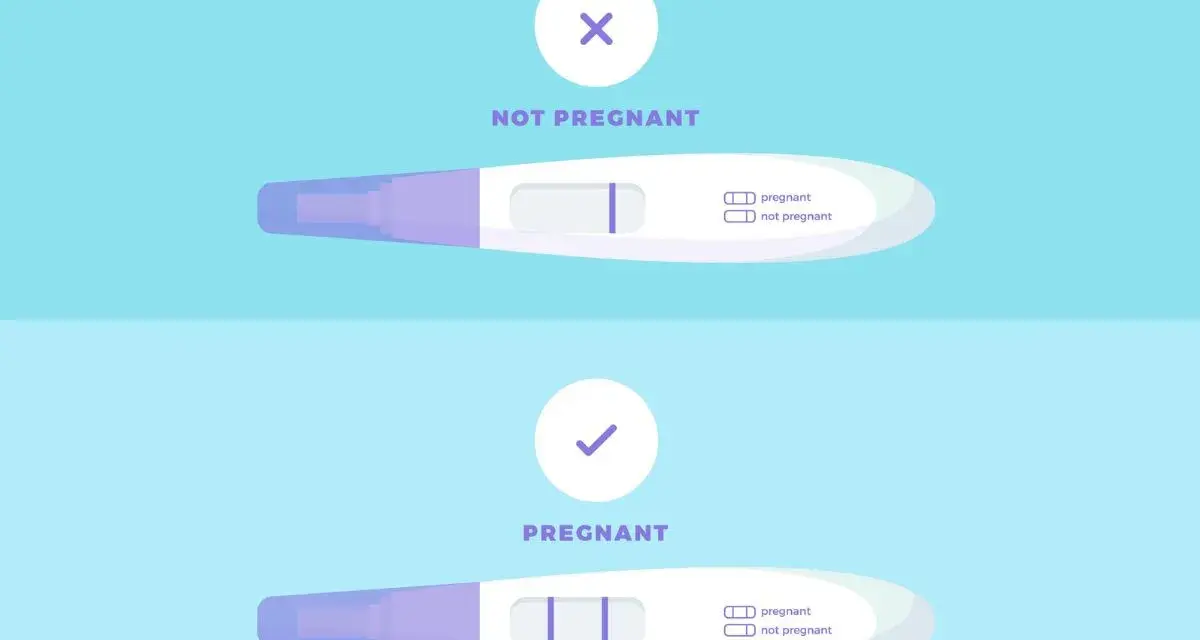 Dwa testy ciążowe: jeden z jednym paskiem (nie w ciąży), drugi z dwoma paskami (pozytywny test ciążowy).
