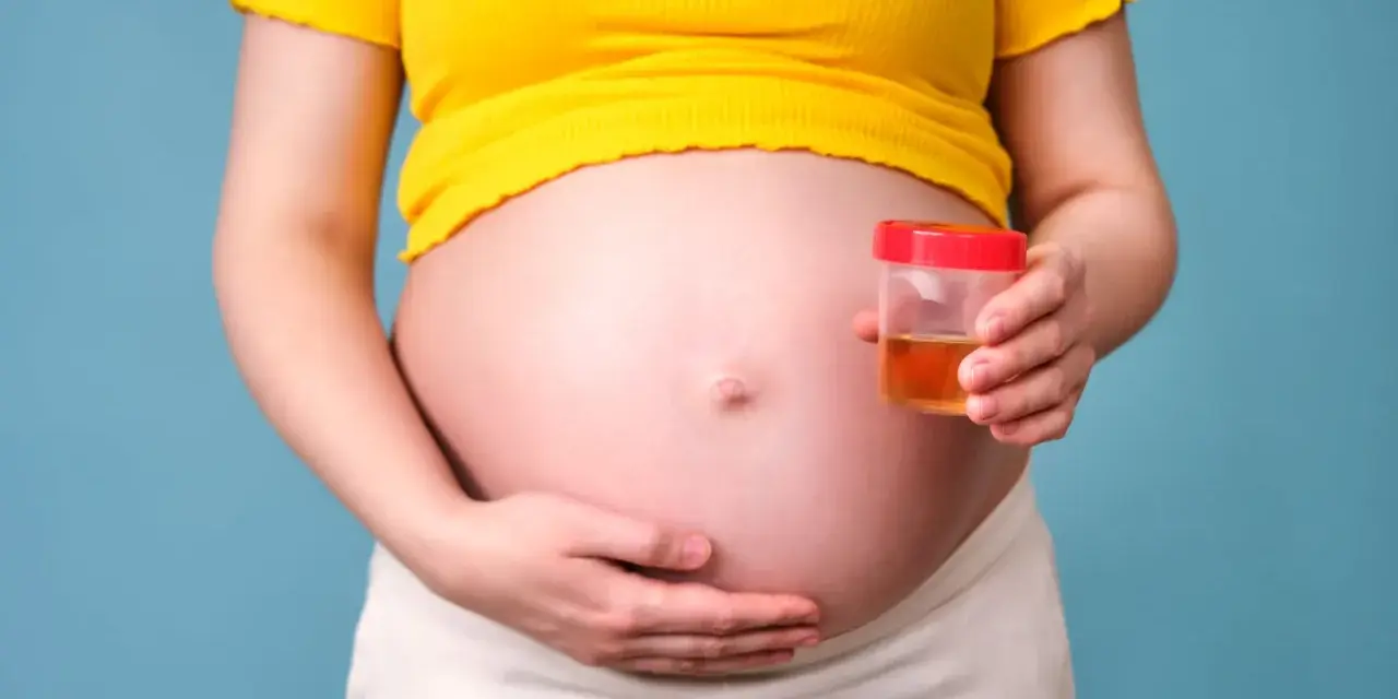 Kobieta w ciąży trzyma pojemnik z próbką moczu, badanie na obecność ketonów w moczu w ciąży.