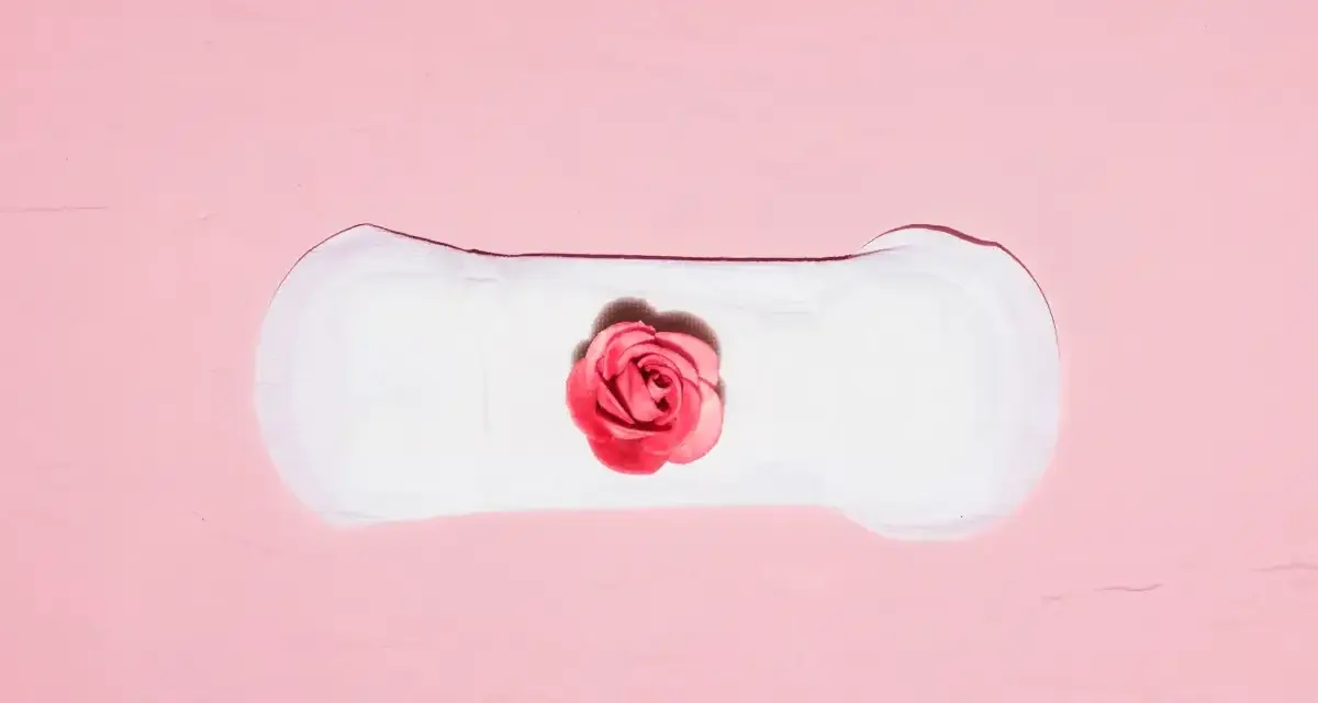Biały podpaska z różową różą pośrodku. Symbolizuje cykl menstruacyjny, gdzie skrzep czy zarodek może być częścią tej naturalnej podróży.