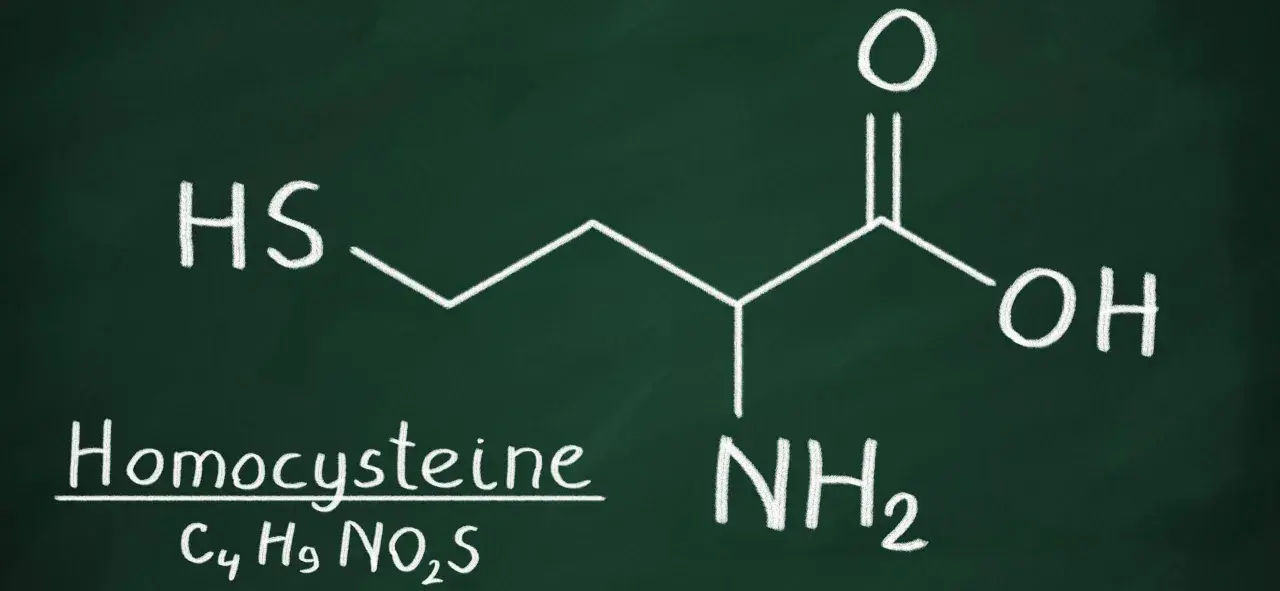 Struktura chemiczna homocysteiny. Norma homocysteiny jest kluczowa dla zdrowia.