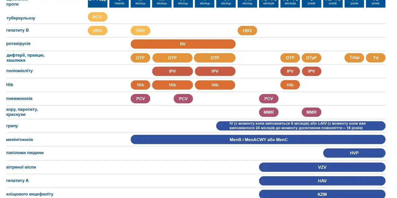 Kalendarz szczepienia dzieci: BCG, HBV, RV, DTP, IPV, Hib, PCV, MMR, HVP, VZV, HAV, KZM.