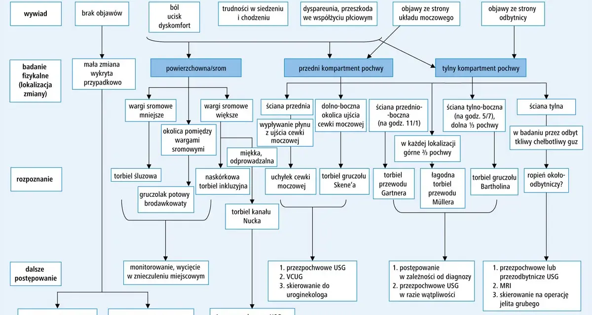 Algorytm diagnostyczny: torbiel gruczołu Bartholina, torbiel gruczołu Skene'a, torbiel przewodu Gartnera, torbiel przewodu Müllera, ropień okołoodbytniczy?