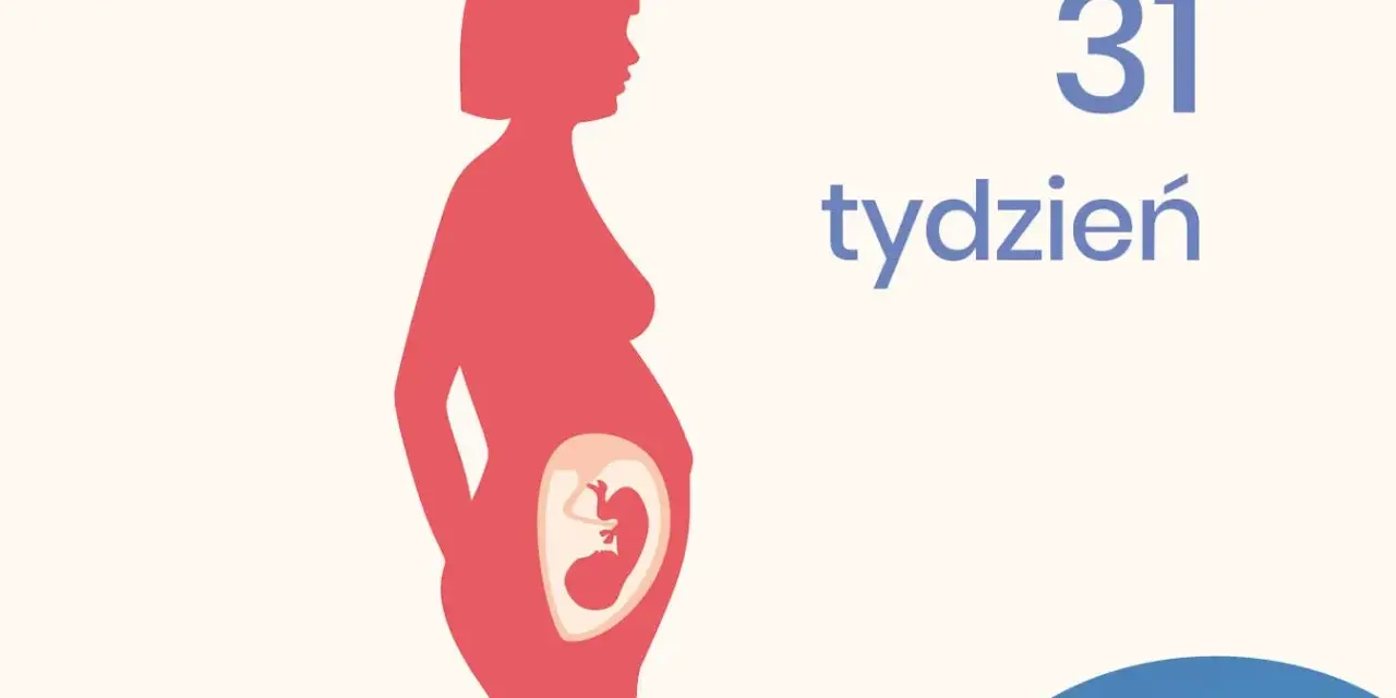 Sylwetka kobiety w ciąży, wewnątrz widoczny płód. Obok napis "31 tydzień".