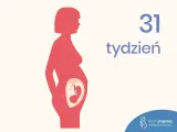 Sylwetka kobiety w ciąży, wewnątrz widoczny płód. Obok napis "31 tydzień".