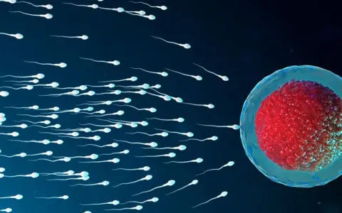 Wiele plemników dąży do komórki jajowej, symbolizując początek implantacji zarodka.