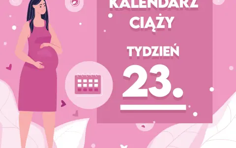Kobieta w 23 tygodniu ciąży, z brzuszkiem. Obok kalendarz i napis "Kaledarz ciąży tydzień 23".