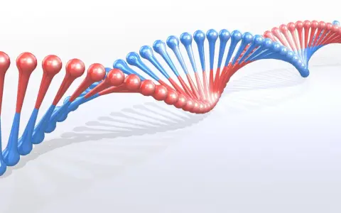 Dwukolorowa, spiralna struktura DNA, przypominająca wijące się wstążki, z czerwonymi i niebieskimi elementami.