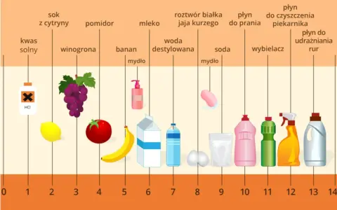 Skala pH pokazuje, że niektóre produkty, jak wybielacz czy płyn do udrażniania rur, mają wysokie pH moczu, co oznacza ich zasadowość.