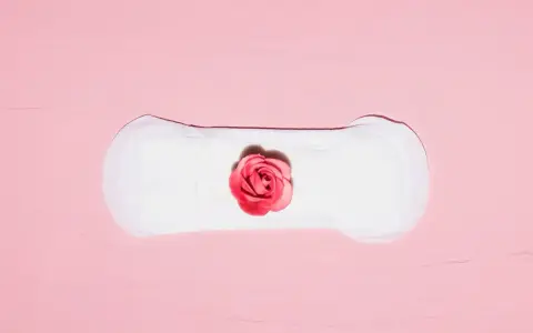 Biały podpaska z różową różą pośrodku. Symbolizuje cykl menstruacyjny, gdzie skrzep czy zarodek może być częścią tej naturalnej podróży.