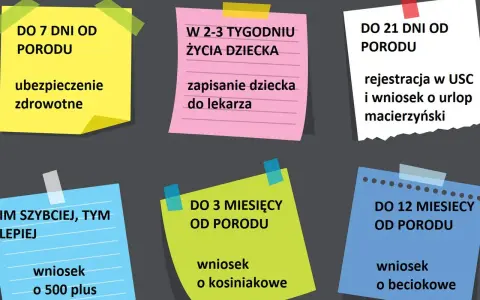 Ważne terminy po porodzie: ubezpieczenie, rejestracja dziecka, urlop macierzyński, wniosek o 500 plus, kosiniakowe i beciokowe. Planowanie okresu prenatalnego i pierwszych miesięcy życia dziecka.
