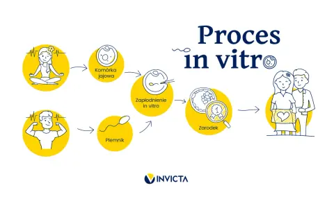 Ilustracja przedstawia proces in vitro: od komórki jajowej i plemnika, przez zapłodnienie, rozwój zarodka, aż po szczęśliwą parę z dzieckiem.