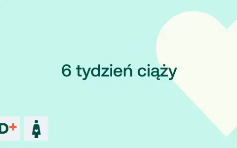 6 tydzień ciąży. Delikatne tło z sercem i ikonami D+ oraz kobiety w ciąży.