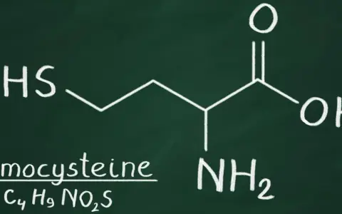 Struktura chemiczna homocysteiny. Norma homocysteiny jest kluczowa dla zdrowia.