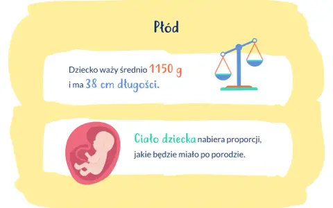 28 tydzień ciąży: płód waży 1150g i ma 38cm. Ciało dziecka nabiera proporcji.