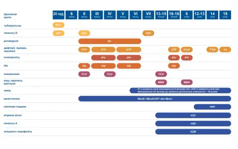 Kalendarz szczepienia dzieci: BCG, HBV, RV, DTP, IPV, Hib, PCV, MMR, HVP, VZV, HAV, KZM.