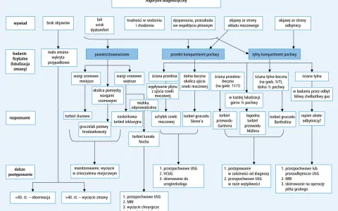 Algorytm diagnostyczny: torbiel gruczołu Bartholina, torbiel gruczołu Skene'a, torbiel przewodu Gartnera, torbiel przewodu Müllera, ropień okołoodbytniczy?