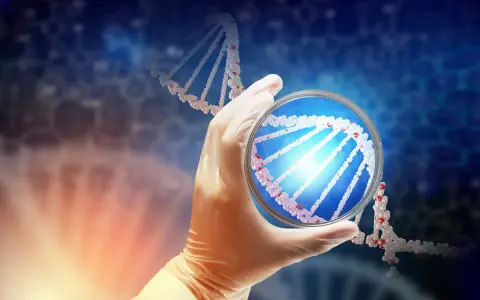 Rękawiczka laboratoryjna trzyma szalkę Petriego z fragmentem DNA. To może być etap diagnostyki prenatalnej, jak kordocenteza.