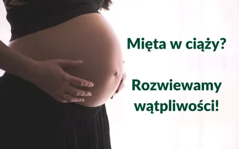Brzuch kobiety w ciąży, z dłońmi delikatnie go obejmującymi. Obok tekst: "Mięta w ciąży? Rozwiewamy wątpliwości!".