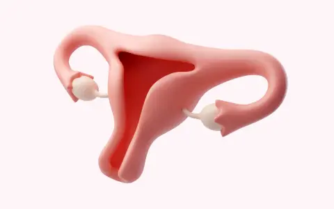 Anatomia kobieca: macica, jajowody i jajniki. Ilustracja może być użyta do omówienia o26 kod choroby.