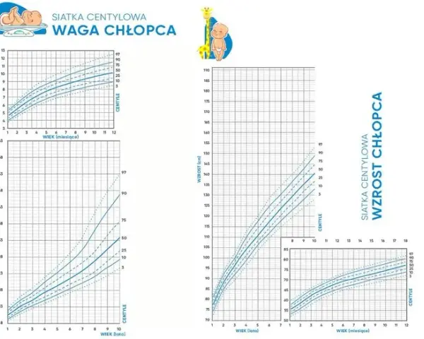 Waga 11-latka: Normy, siatki centylowe i BMI. Sprawdź, czy Twoje dziecko jest w normie.