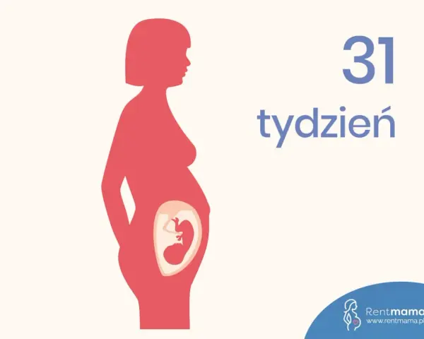 Sylwetka kobiety w ciąży, wewnątrz widoczny płód. Obok napis "31 tydzień".