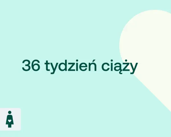 36 tydzień ciąży. Czas na ostatnie przygotowania do porodu. D+ ikona kobiety w ciąży.