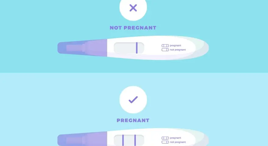 Dwa testy ciążowe: jeden z jednym paskiem (nie w ciąży), drugi z dwoma paskami (pozytywny test ciążowy).