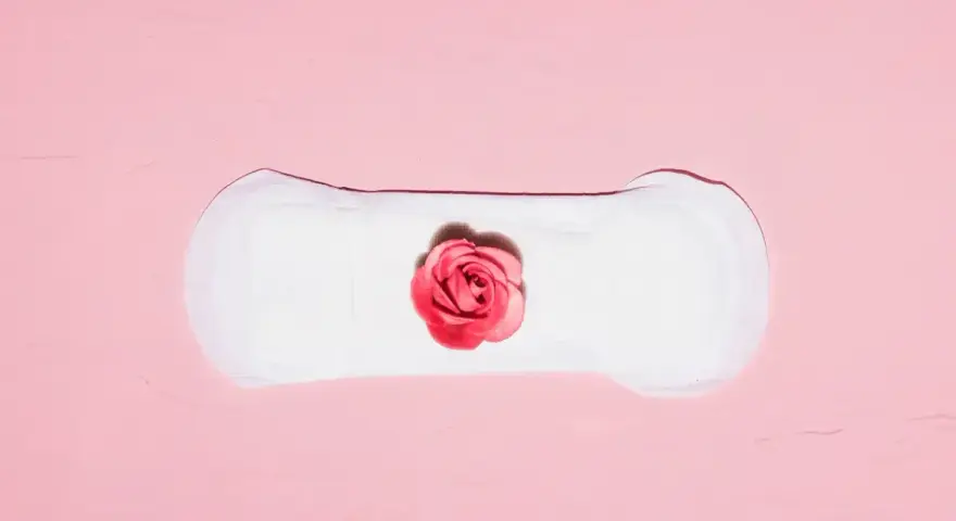Biały podpaska z różową różą pośrodku. Symbolizuje cykl menstruacyjny, gdzie skrzep czy zarodek może być częścią tej naturalnej podróży.
