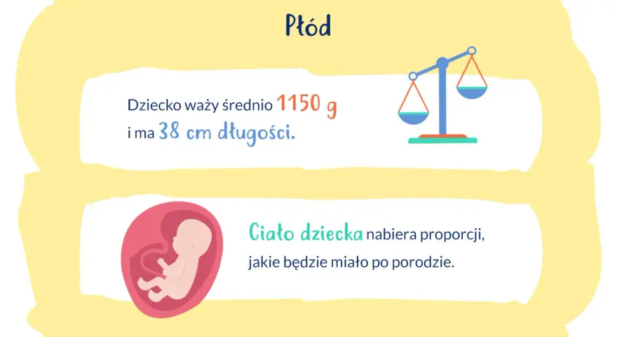 28 tydzień ciąży: płód waży 1150g i ma 38cm. Ciało dziecka nabiera proporcji.