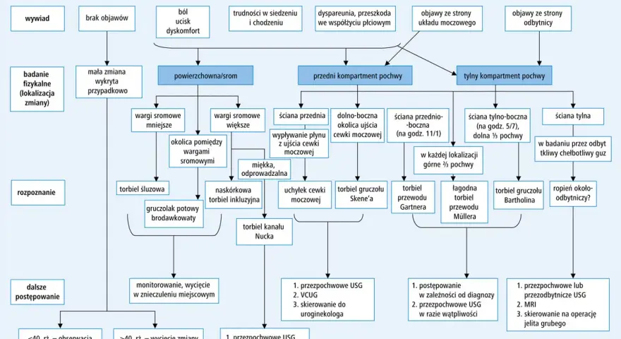Algorytm diagnostyczny: torbiel gruczołu Bartholina, torbiel gruczołu Skene'a, torbiel przewodu Gartnera, torbiel przewodu Müllera, ropień okołoodbytniczy?