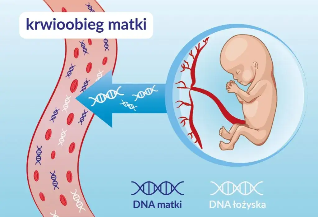 badanie NIPT wolne płodowe DNA
