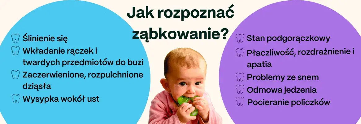objawy ząbkowania niemowlaka